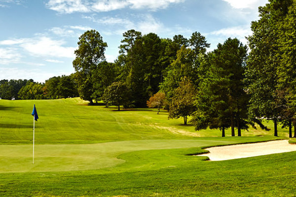 Newnan Sharpsburg Gold